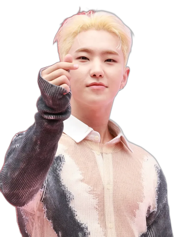Hoshi